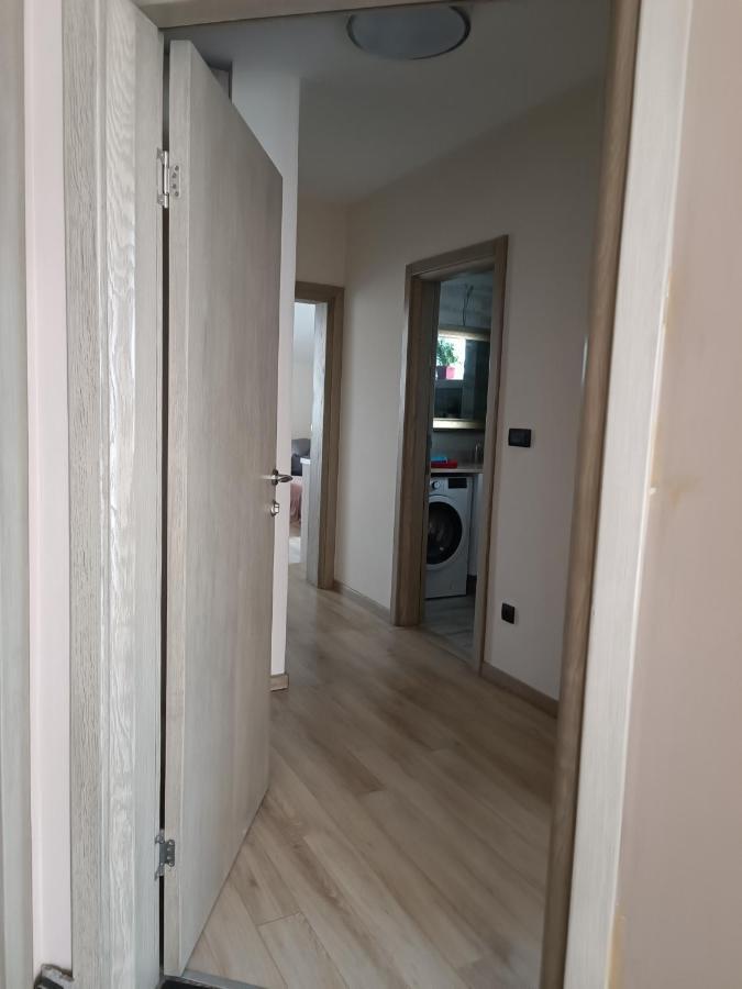 Ivana Beograd Bagian luar foto