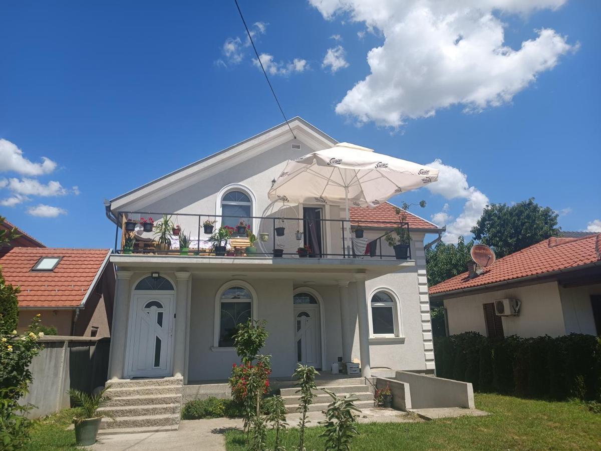 Ivana Beograd Bagian luar foto