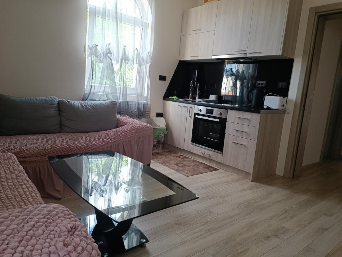 Ivana Beograd Bagian luar foto